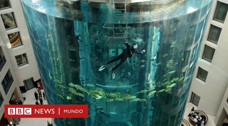 Estalla el mayor acuario cilíndrico del mundo con un millón de litros de agua y 1.500 peces en un hotel de Berlín - BBC News Mundo