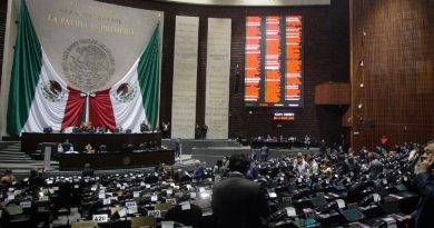 Reforma electoral. Diputados mandan a comisiones “Plan B”