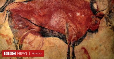 El aficionado a la arqueología que ayudó a descifrar el significado de las pinturas rupestres de hace 20.000 años - BBC News Mundo