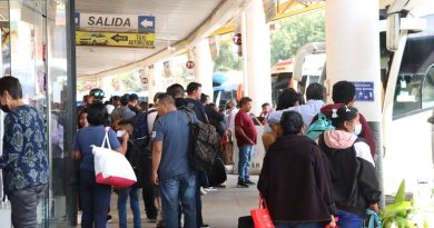 Por fin de año, saturan salidas de la terminal de autobuses