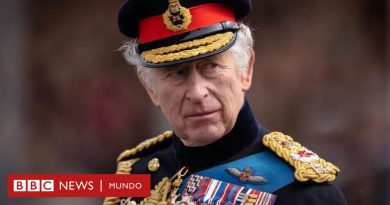 Cuál es el rol de la monarquía en Reino Unido - BBC News Mundo