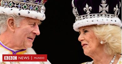 Las mejores imágenes de la coronación del rey Carlos III, un día histórico para Reino Unido - BBC News Mundo