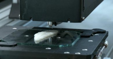 Mira estos filetes de pescado impresos en 3D