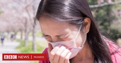 ¿Qué tiene que ver la Segunda Guerra Mundial con la crisis de alergia en Japón que empeora cada vez más? - BBC News Mundo