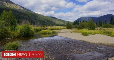 La familia que quiso vivir lejos de la civilización y terminó muriendo en las Montañas Rocosas de Colorado - BBC News Mundo