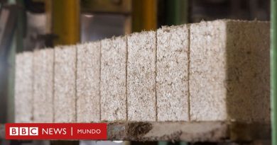 Las ventajas que tienen las casas construidas con cannabis - BBC News Mundo