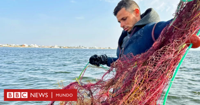 Migración: "Una vez encontré en mis redes de pesca el cuerpo de un bebé. ¿De qué puede ser responsable un bebé?" - BBC News Mundo