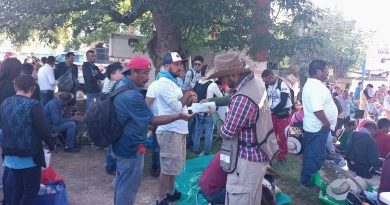 Ya son 2 mil peregrinos a la Basílica de Guadalupe