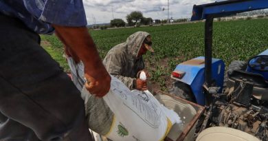 Apoyos por 600 mdp al campo queretano