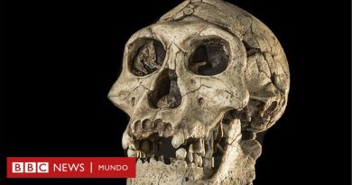 El desconocido enfriamiento glacial que expulsó a los humanos de Europa durante 200.000 años (y cómo se adaptaron para regresar) - BBC News Mundo