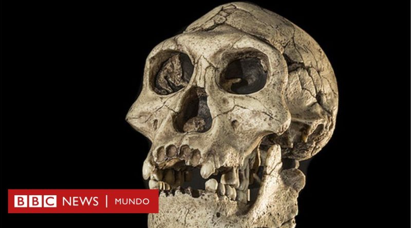 El desconocido enfriamiento glacial que expulsó a los humanos de Europa durante 200.000 años (y cómo se adaptaron para regresar) - BBC News Mundo