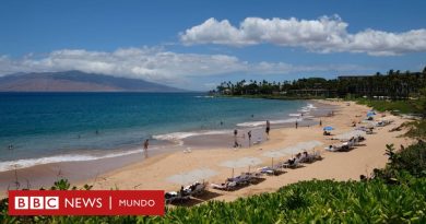 Hawái | "Te educan odiando a los turistas": la tensión entre visitantes y lugareños que reavivan los devastadores incendios que han dejado 100 muertos - BBC News Mundo