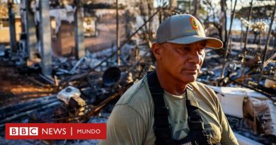 Incendios en Hawái | "Lo que se te pega a la ropa no es solo ceniza. Son los restos de nuestros seres queridos": la dura búsqueda e identificación de los más de 100 muertos en la catástrofe - BBC News Mundo