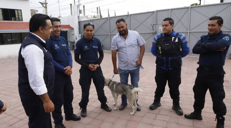 Luis Nava reconoce trabajo de los veterinarios