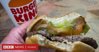 Acusan a Burger King de engañar a sus clientes con el tamaño de sus hamburguesas - BBC News Mundo