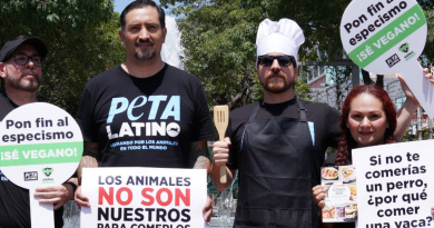 “Asan” perro para crear conciencia sobre el consumo de carne animal