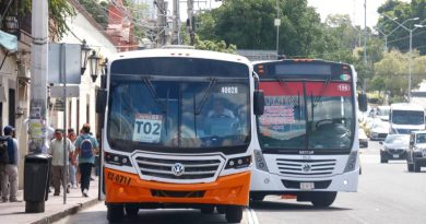 Desde hoy se verán unidades nuevas de transporte público