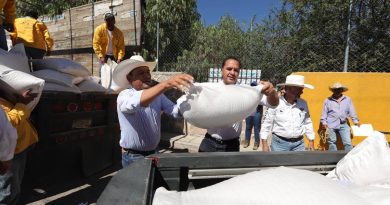 Entregan 500 toneladas de semilla a productores