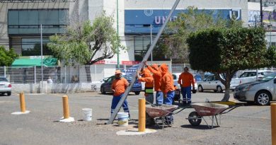 Este domingo el tianguis de La Cruz ya se ubicará en Plaza de las Américas