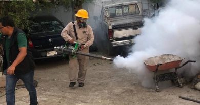 Querétaro sin casos de dengue en 3 años