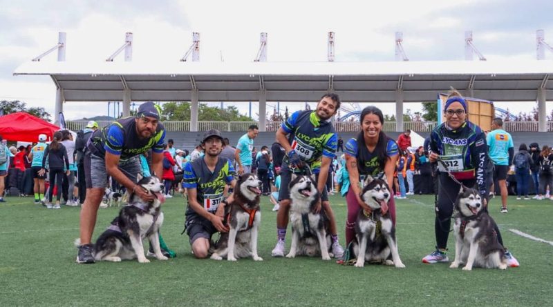 Carrera P-Run 2023: decenas de personas salieron a correr junto a sus mascotas