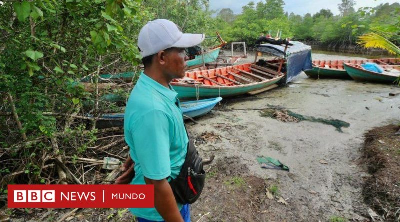 China: las oscuras empresas  de la nación asiática que controlan partes del territorio de Camboya - BBC News Mundo