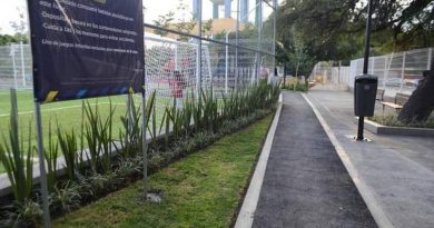 Vecinos de Puertas del Sol elegirán su parque 