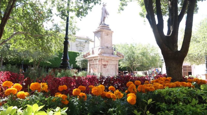 Visten las plazas queretanas de cempasúchil