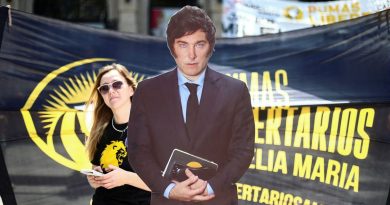 En busca de un Javier Milei para el Movimiento Libertario en Colombia