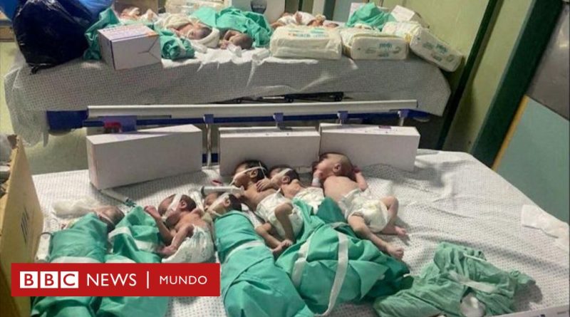 Guerra Israel -  Hamás: el hospital Al Shifa, el más grande de Gaza, "se está convirtiendo en un cementerio", advierte la Organización Mundial de la Salud - BBC News Mundo