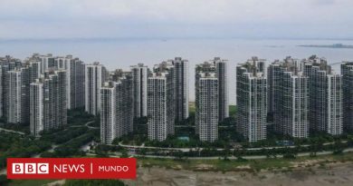 Forest City, la "ciudad fantasma" de US$100.000 millones que una empresa china construyó en Malasia - BBC News Mundo