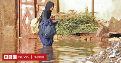 La COP28 aprueba el lanzamiento del fondo climático de daños y pérdidas para países vulnerables - BBC News Mundo