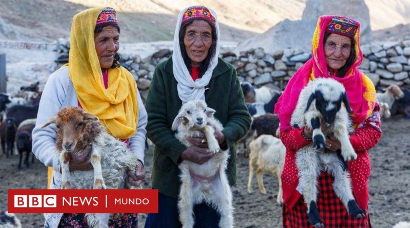 La aldea perdida donde las mujeres se juegan la vida en las montañas y los hombres se quedan en casa cultivando - BBC News Mundo