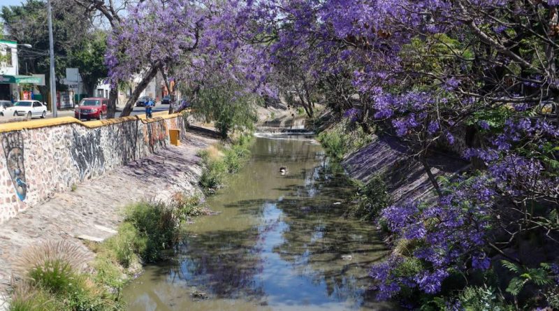 Emite malos olores el río Querétaro