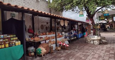 En abril podría abrir el mercado artesanal