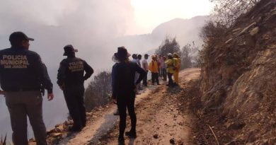 Piden víveres para personas afectadas por incendio forestal en Cadereyta