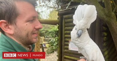 “Compramos un zoológico y nuestras vidas se pusieron patas arriba” - BBC News Mundo