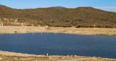 “Se curan en salud” con iniciativa de agua