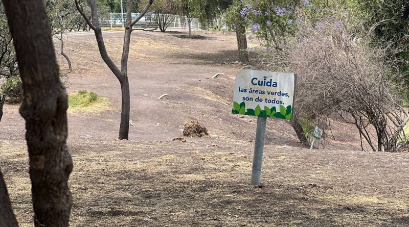 Áreas verdes y parques se encuentran secos