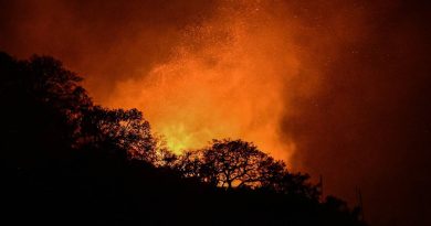 Incendios forestales fueron provocados