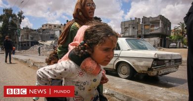 Israel - Gaza | "Mis hijos se aferran a mí mientras los perros desentierran cadáveres": las aterradoras escenas que viven los palestinos en Rafah - BBC News Mundo