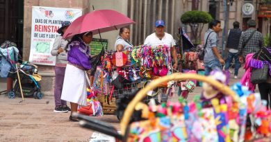 Condicionan artesanos ingreso al CEDAI