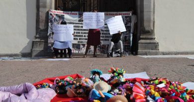 Liberan el jardín Zenea de ambulantes