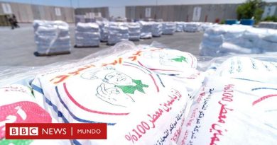 Los cientos de sacos de alimentos que no logran repartirse en Gaza y por los que Israel y la ONU se culpan mutuamente - BBC News Mundo