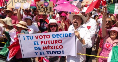 Se desmarca Marea Rosa de llamado a paro nacional