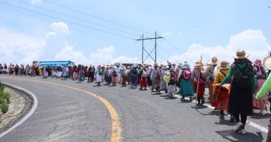 Columna de Guanajuato se une a la peregrinación queretana