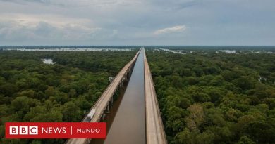 El "bebé milagro" que sobrevivió varios días solo al borde de una carretera en EE.UU. - BBC News Mundo