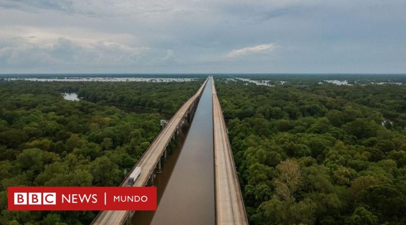 El "bebé milagro" que sobrevivió varios días solo al borde de una carretera en EE.UU. - BBC News Mundo