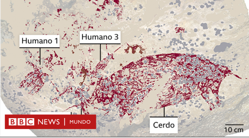 El fascinante hallazgo de las pinturas rupestres más antiguas del mundo - BBC News Mundo