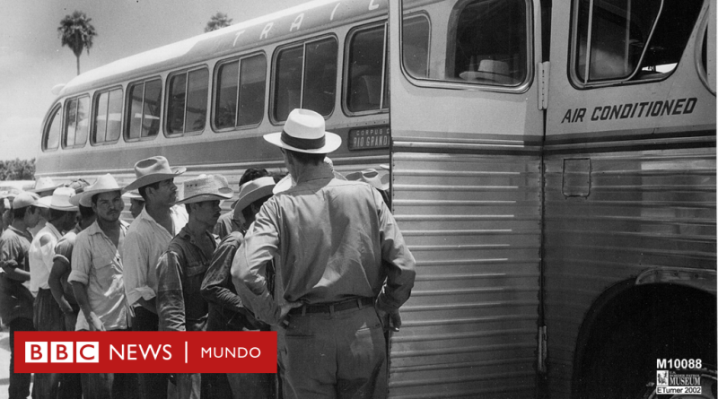 "Operación Espalda Mojada": cómo fue hace 70 años la "mayor deportación masiva de migrantes de la historia de EE.UU." - BBC News Mundo